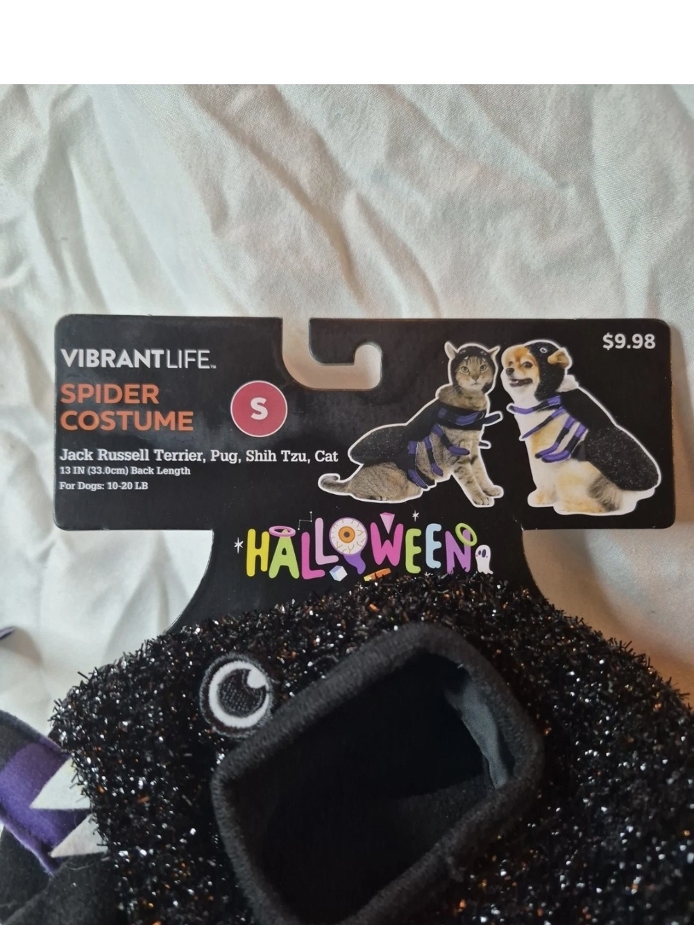 Vibrant Black and Purple Small Dog Spider Costume